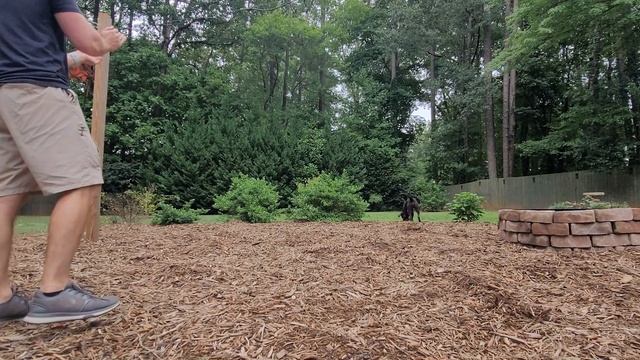 truffle house session смотреть онлайн