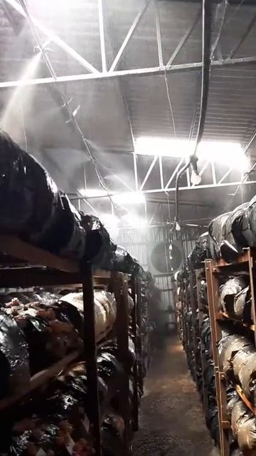 Aqui a gente faz até chover смотреть онлайн