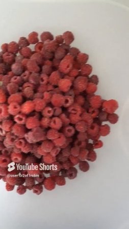 МАЛИНЫ ПЕРВЫЙ УРОЖАЙ!!!Shorts