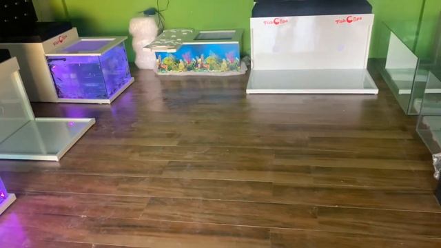 How To Start a Fish Pedicure Business Opportunity India & Garra Rufa fish wholesale Rate 8447174348