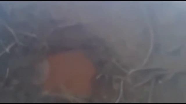 Подводное нечто Дело №175 смотреть онлайн