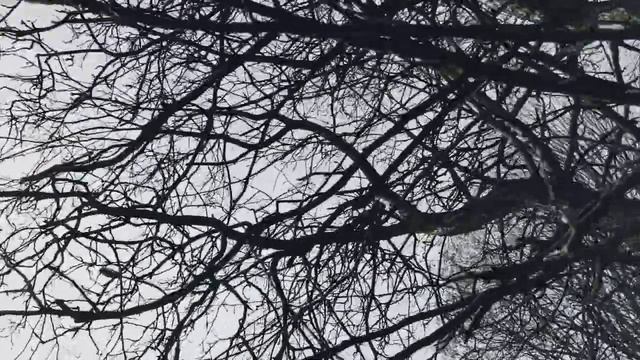 VID 20230415 170629 Ветер, песок, и море...(Гильвик)...Павел Васильев Лахтинский смотреть онлайн