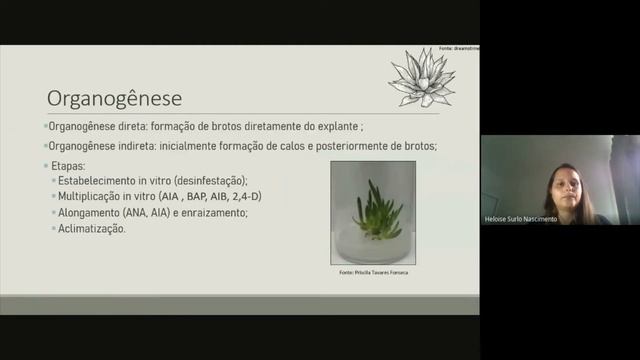 TÉCNICAS DE MICROPROGAÇÃO NO CULTIVO IN VITRO PARA ESPÉCIES DE AGAVE: REVISÃO DE LITERATURA смотреть онлайн