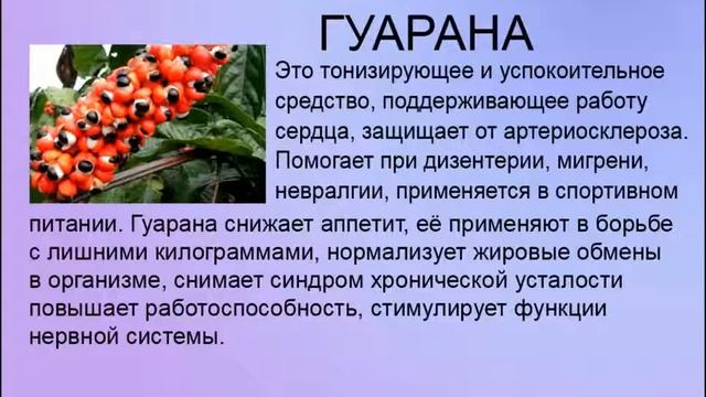 ЭЛИКСИР ЗДОРОВЬЯ Elev8  Подробно о составе и результатах