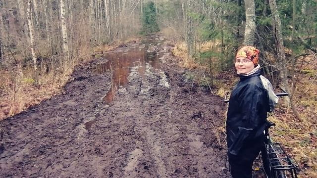 Круголесное вело ПВД смотреть онлайн