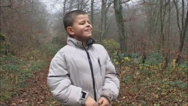 Truffes.cavage.chasseur de truffes.chien truffier.Truffle смотреть онлайн