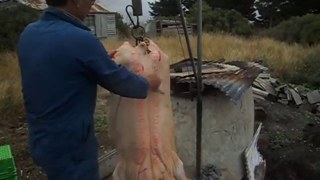 Washing first pig смотреть онлайн
