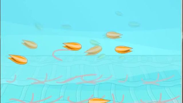 The story of cellulase