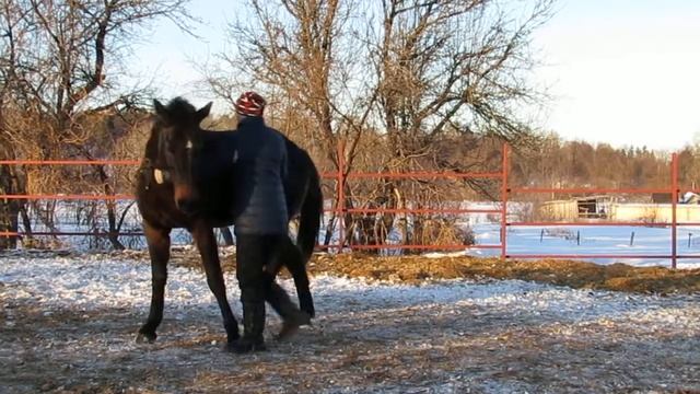 26. Анастасия Сидорова и Поэзия ( Дина). работа в руках 3 уровень