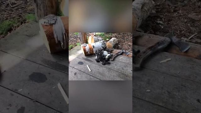 Природа,охота, утки,опята и веселые ребята смотреть онлайн