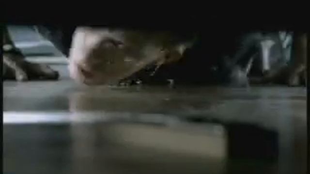 kirieshki.mpg смотреть онлайн