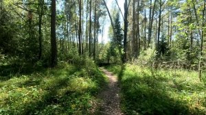 Озеро Светлояр: загадочное место силы | Прогулка вокруг озера и легенды