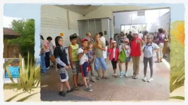 Дитячий оздоровчий табір в Карпатах Трускавець ціни Brillion Club смотреть онлайн