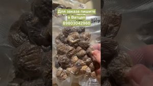 Пантерный Мухомор 🔥🍄
