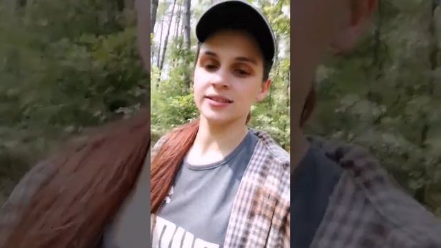 Поход за грибами в лес #рекомендации #деревня #лес #грибы #подписка #лайк #видео #рек смотреть онлайн