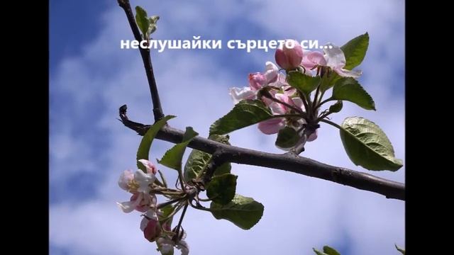 БЯГАМЕ ОТ СЕБЕ СИ смотреть онлайн