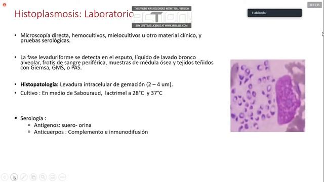 Histoplasmosis y Paracocidiomicosis смотреть онлайн