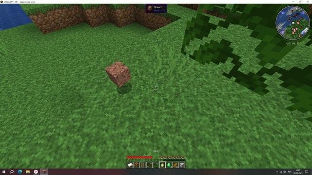 Minecraft