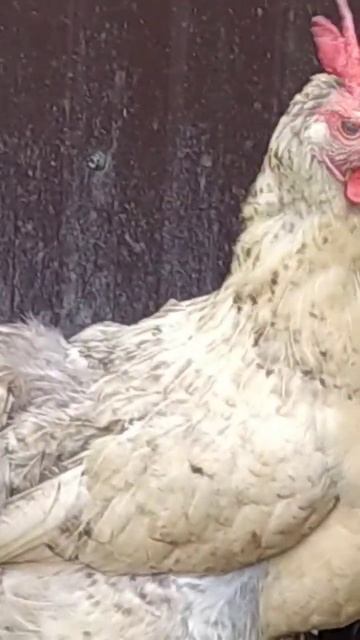 28 июля 2022 г. смотреть онлайн