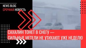 Сахалин тонет в снегу — сильные метели не утихают уже неделю.Сугробы пробиваются в окна домов.