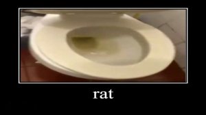 21st century humor 2