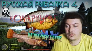 🔥Комариное🐟 53 87 Раздача🎣 Русская Рыбалка 4🎣