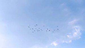 Fujifilm XS-10 | 35mm f2.0 | 120fps | IBIS test | no audio #fujifilm handheld video