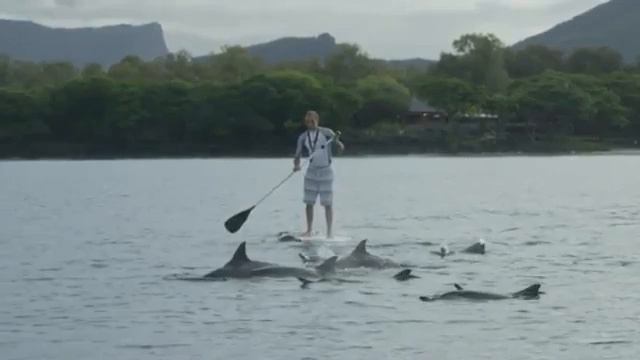 Ideas for a holiday - Level A1 (Unit 9) смотреть онлайн