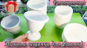 Распаковочка! Кашпо и вазоны для трейлерных фиалок)