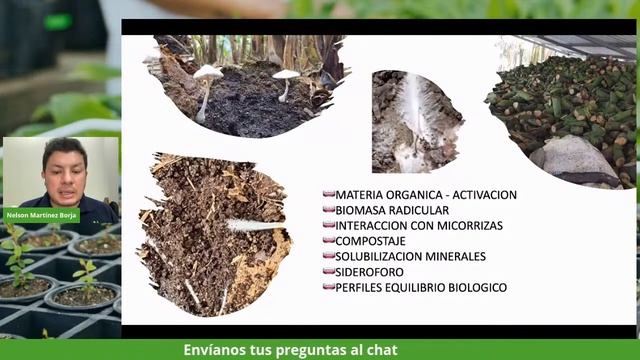 Trichoderma: mitos y verdades смотреть онлайн