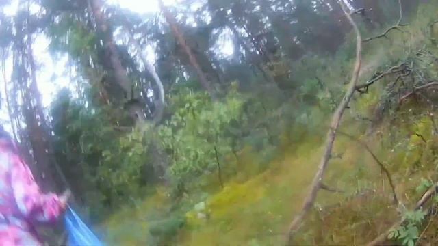 СТОЛЬКО ГРИБОВ Я ЕЩЕ НЕ ВИДЕЛ. Поход за грибами 2021. Смотреть до конца. смотреть онлайн