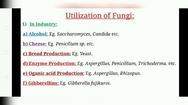 Chapter 4 Part-6 Fungi