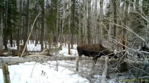 Тахтинское охотхозяйство