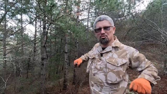 Вот это НАХОДКА! Закрыли ГРИБНОЙ сезон смотреть онлайн