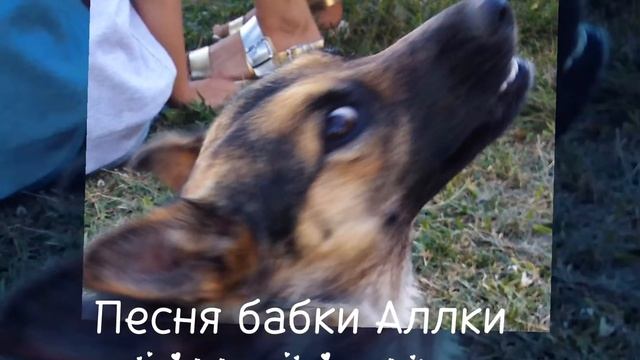 Песня бабки Аллки [Speed up remix]#speedup#speedupsongs #song#songs#бабка_аллка