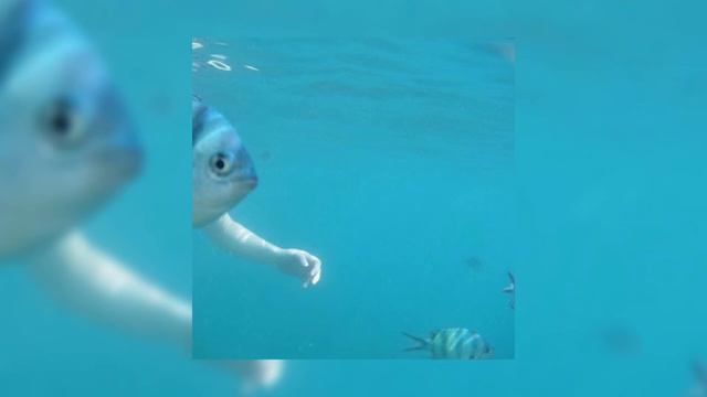 nicki minaj - truffle butter (sped up) смотреть онлайн