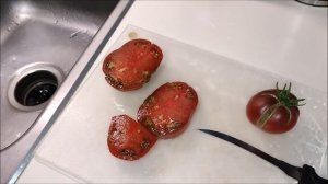 Tomato Tester: Dwarf Rosella Purple(Raw Power)!