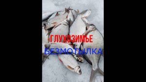 РЫБАЛКА В ГЛУХОЗИМЬЕ НА БЕЗМОТЫЛКУ. ПЛОТВА,ЛЕЩЬ