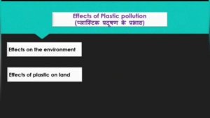 World Consumer Right Day 2021(विश्व उपभोक्ता अधिकार दिवस)15 March Theme-Tackling Plastic Pollution.