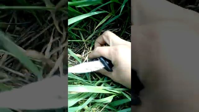 собираю грибы. часть 2 смотреть онлайн