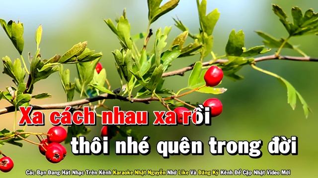 Xin Làm Người Xa Lạ Karaoke Tone Nữ Nhạc Sống - Phối Mới Dễ Hát - Nhật Nguyễn смотреть онлайн