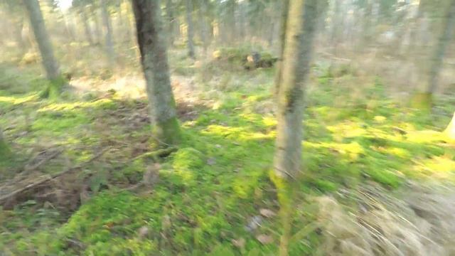 Pastaiga pa mežu смотреть онлайн