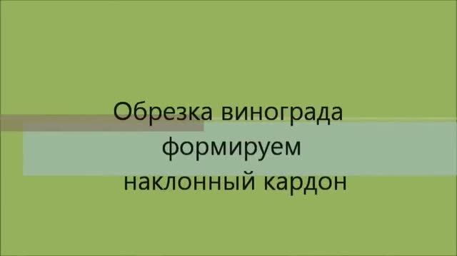Обрезка винограда осенью. Проще простого. смотреть онлайн