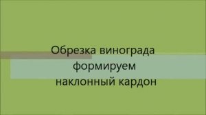 Обрезка винограда осенью. Проще простого.