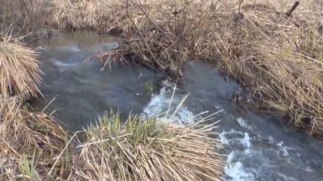 РенеССанС п.у. Dj @leX - Мечта смотреть онлайн