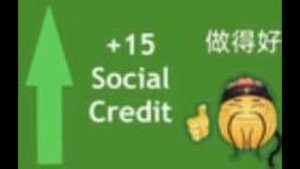 Chinese social credit test