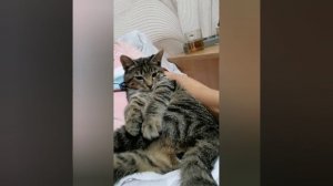 Умываться надо всем