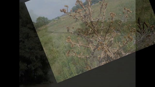 Диалоги в пути смотреть онлайн