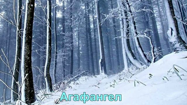 5 февраля. Агафий-полухлебник