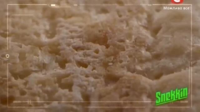 Snekkin - запатентованный смак майбутнього! 2015